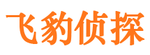 成武外遇出轨调查取证